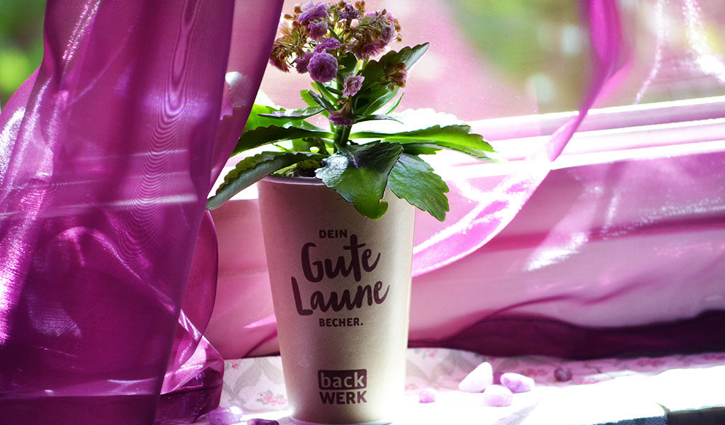 Eine Kaffeebecher, in den eine Blume gepflanzt wurde.