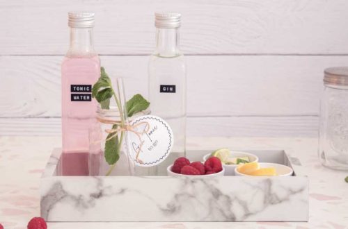 Gin Tonic to go Geschenkpaket für Gin Liebhaber