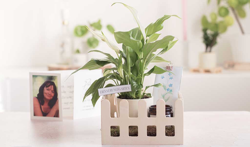 Kreative Trauergeschenke: Erinnerungsgarten oder Trostgarten verschenken